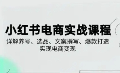小红书从0-1实操课(2023-2025)，详解养号、选品、文案撰写、爆款打造实现电商变现-亮剑学堂